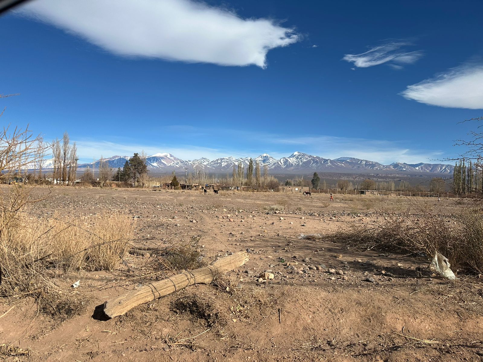 Venta. Dos Lotes Contiguos En Barreal, Calingasta